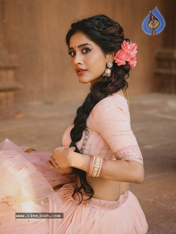 Nabha Natesh Photos - 11 / 12 photos