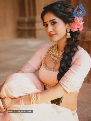 Nabha Natesh Photos - 1 of 12