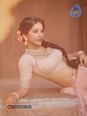 Nabha Natesh Photos - 2 of 12