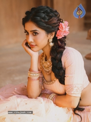 Nabha Natesh Photos - 3 of 12