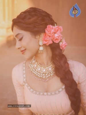 Nabha Natesh Photos - 5 of 12