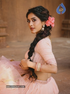 Nabha Natesh Photos - 11 of 12