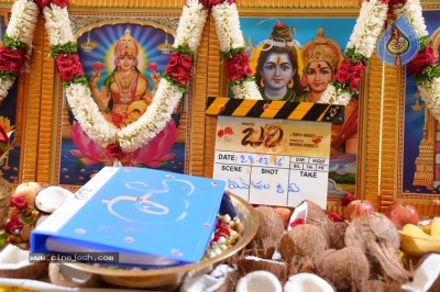 Bhari Movie Opening - 24 of 29