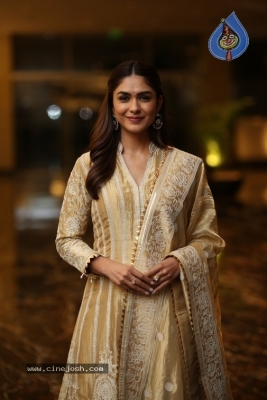 Mrunal Thakur Photos - 6 of 18
