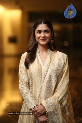 Mrunal Thakur Photos - 12 of 18