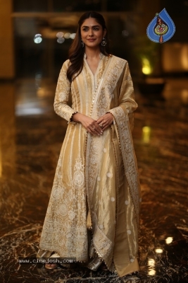 Mrunal Thakur Photos - 13 of 18