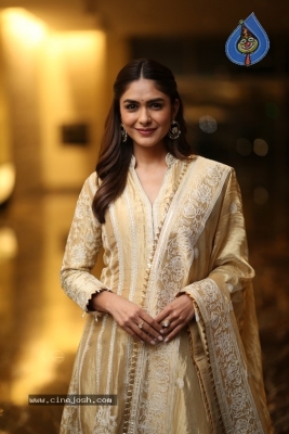 Mrunal Thakur Photos - 15 of 18