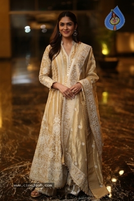 Mrunal Thakur Photos - 16 of 18