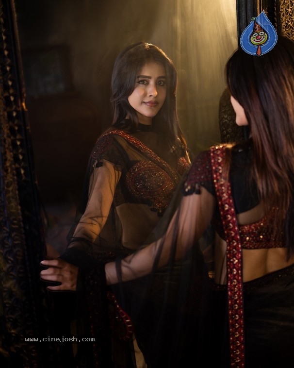 Nabha Natesh Photos - 9 / 10 photos