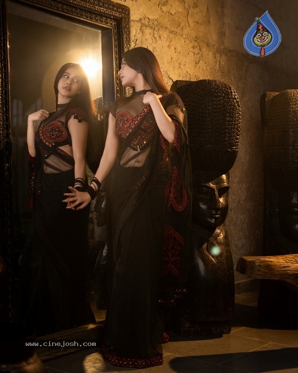 Nabha Natesh Photos - 10 / 10 photos