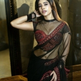 Nabha Natesh Photos
