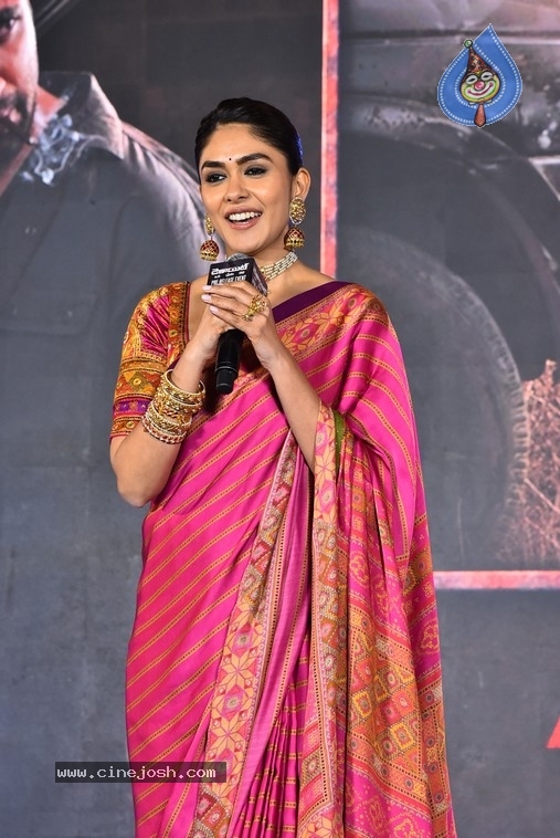 Dacoit Pre Release Event - 17 / 50 photos