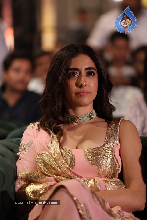 Dacoit Pre Release Event - 26 / 50 photos