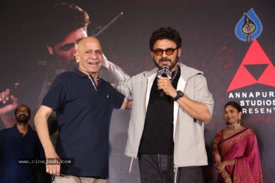 Dacoit Pre Release Event - 19 of 50