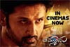 Thammudu Review