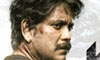Wild Dog Review