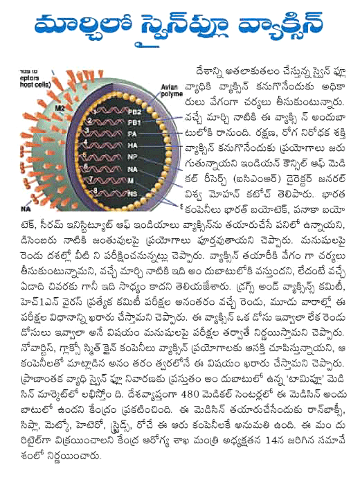 Swine Flu,H1N1  Swine Flu, H1N1