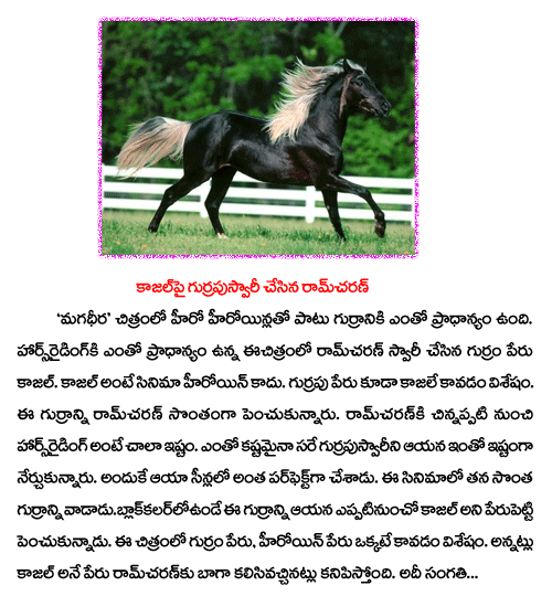 kajal,horse  kajal, horse