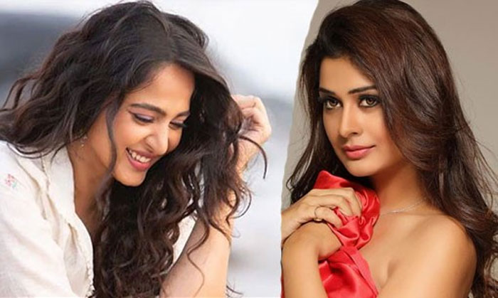 anushka,payal rajput,heroines,nagarjuna,manmadhudu 2  మన్మథుడు 2 హీరోయిన్లు వీళ్లే? 