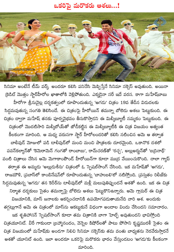 aagadu,maheshbabu,thamana,hopes on aagadu,producers,thamana,posani,aagadu movie result,aagadu thelugu movie,directer srinu vitla  aagadu, maheshbabu, thamana, hopes on aagadu, producers, thamana, posani, aagadu movie result, aagadu thelugu movie, directer srinu vitla