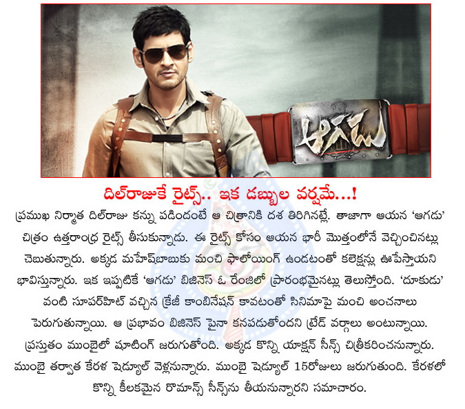 aagadu,satellite rights,dil raju,dil raju bags aagadu utterandhra rights,producer dil raju,mahesh babu,srinu vaitla,aagadu movie utterandhra rights details  aagadu, satellite rights, dil raju, dil raju bags aagadu utterandhra rights, producer dil raju, mahesh babu, srinu vaitla, aagadu movie utterandhra rights details