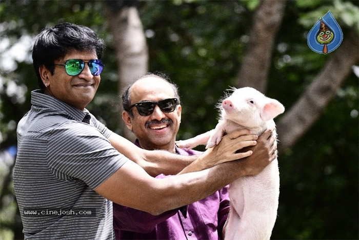 adhugo,dussehra holidays,ravibabu,adhugo movie release  ‘అదుగో’ దసరా సెలవులకి వచ్చేస్తున్నాం