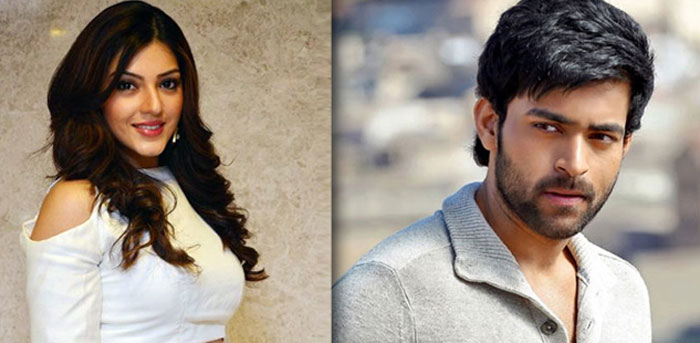 mehreen,varun tej,anil ravipudi,f2 movie  దిల్‌రాజు ఇక ఈ హీరోయిన్ ని వదలడు!