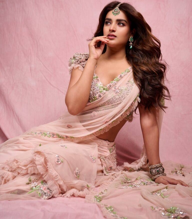 nidhi agarwal  హోప్స్ అన్ని రాజా సాబ్ పైనే 