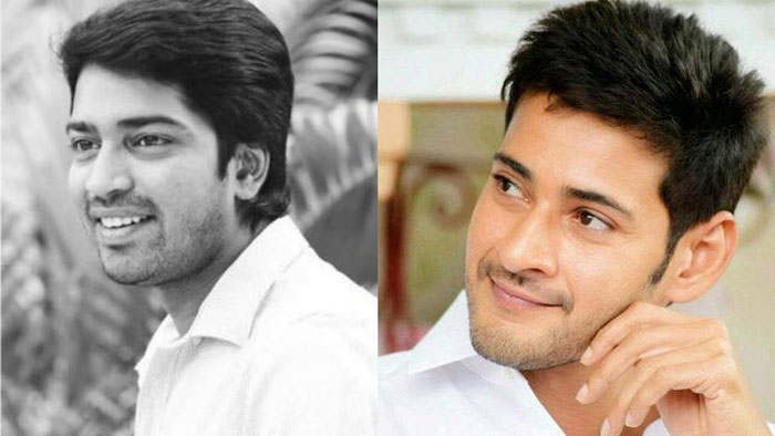 mahesh babu,vamsi paidipally,allari naresh,krishnudu,kucheludu  మహేష్ కృష్ణుడు, నరేష్ కుచేలుడు! 