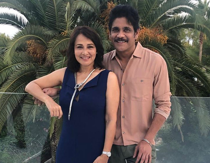 nagarjuna,best cook,amala akkineni,samantha,naga chaitanya  నాగ్, చైతూ.. ఉండగా మాకేంటి అంటున్నారు