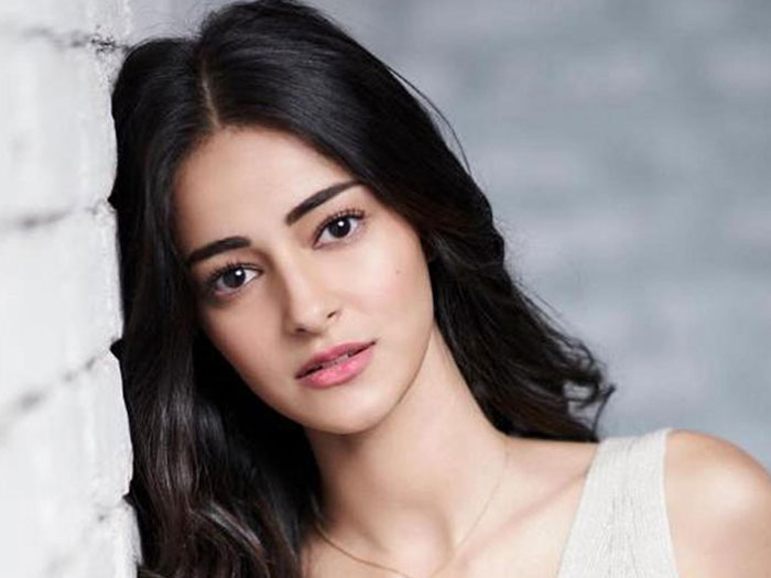 ananya panday,puri jagannadh,fighter,chit chat,ananya panday actress,bollywood  అనన్య పాండేపై అప్పుడే రూమర్స్ వచ్చాయంట!