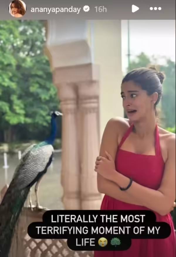 ananya panday  అనన్య‌ అత్యంత భ‌యాన‌క క్ష‌ణం