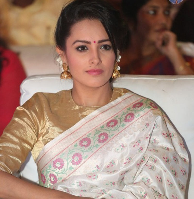 nuvvu nenu fame,anitha hamsa nandini,acting,shocking decision  నువ్వు-నేను హీరోయిన్ అనిత షాకింగ్ డెసిషన్ 