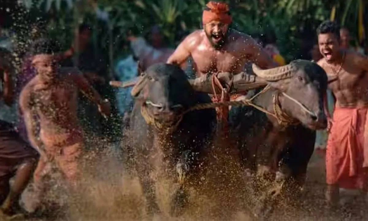 kantara chapter 1  కాంతార యూనిట్ లో మరో విషాదం 