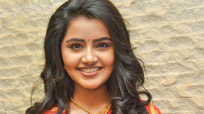 anupama parameswaran,godavari yaasa,krishnarjuna yudham,vetagadu  అనుపమ.. చాలా చాలా సింపుల్! 