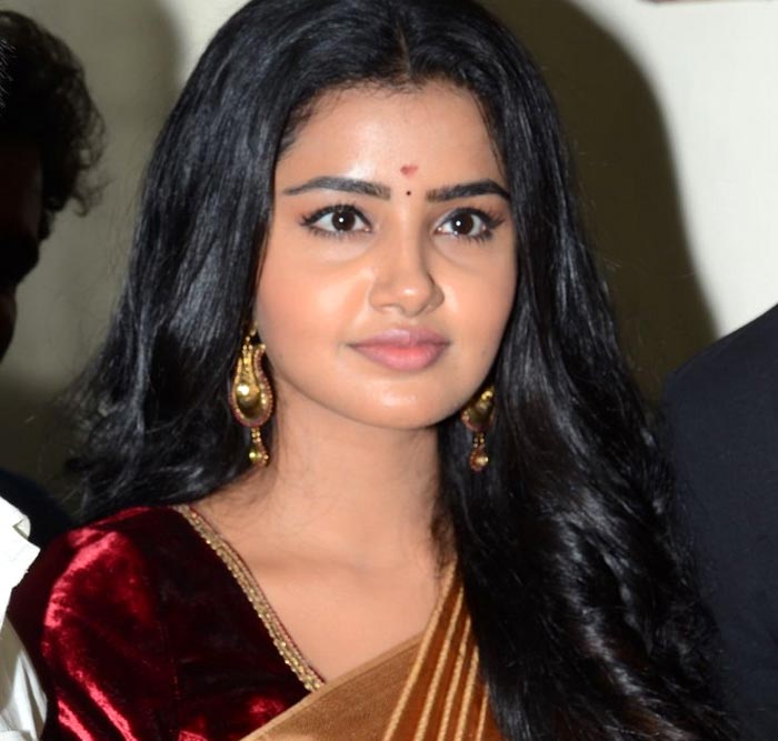 anupama parameswaran,sukumar,ram charan,rangasthalam 1985 movie  తన వద్దకు వచ్చి అడిగితేనే ఒప్పుకుంటదట!