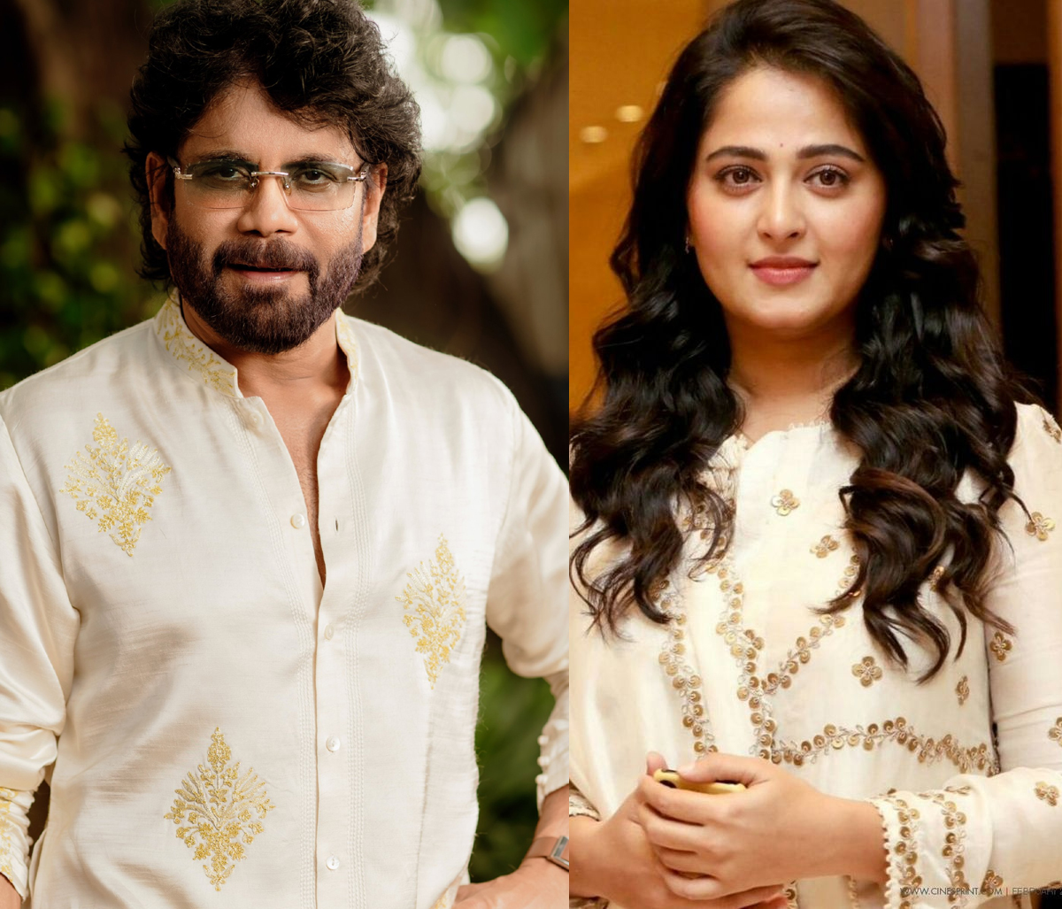 anushka  కింగ్ 100 లో సూపర్ భామ 