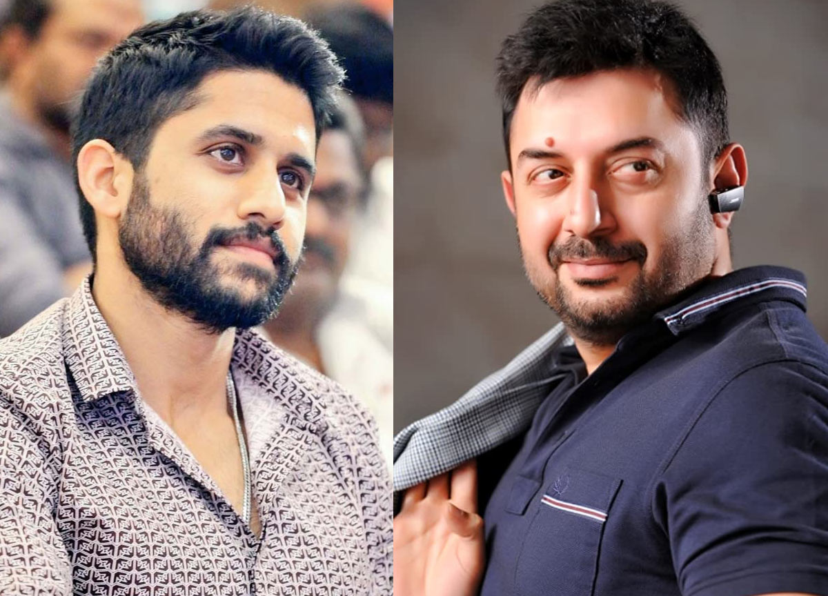 naga chaitanya,nc22,aravind swami  అప్పుడు మాధవన్.. ఇప్పుడు అరవింద్ స్వామి