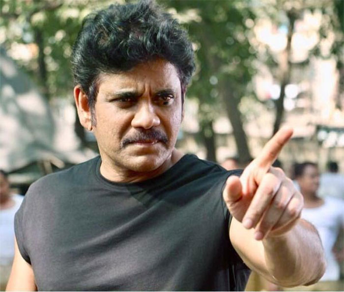 nagarjuna,ram gopal varma,shiva movie,25 years  వర్మ, నాగ్‌లకు శివ గుర్తొచ్చింది!