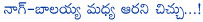 balakrishna,nagarjuna,top heroes,balakrishna and nagarjuna,silent war between nagarjuna and balakrishna,memu saitam,srimannarayana movie,shirdi sai movie