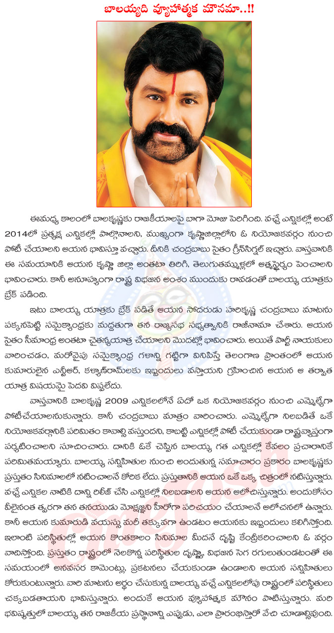 balakrishna,nandamuri,political entry,state division,nandamuri balakrishna political entry,break,natasimham balayya,balayya political entry news,chandrababu naidu,harikrishna,telugu desam party  balakrishna, nandamuri, political entry, state division, nandamuri balakrishna political entry, break, natasimham balayya, balayya political entry news, chandrababu naidu, harikrishna, telugu desam party