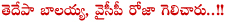 balakrishna,roja,hindupur,nagari,balakrishna wins,telugu desam party,roja wins from ysrcp,chittoor nagari,assembly,balayya and roja are wins