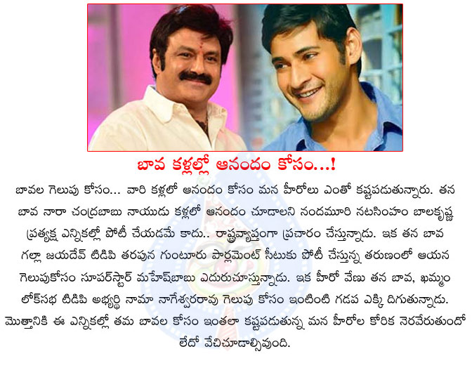 balakrishna,venu,politics,chandrababu naidu,mahesh babu,galla jayadev,balayya for chandrababu,mahesh babu for galla jayadev,balayya  balakrishna, venu, politics, chandrababu naidu, mahesh babu, galla jayadev, balayya for chandrababu, mahesh babu for galla jayadev, balayya