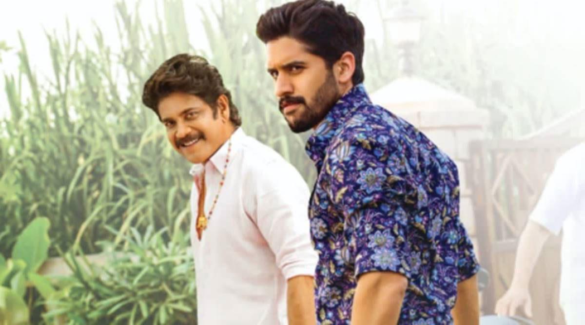 bangarraju,nagarjuna,naga chaitanya,bangarraju 2nd days world wide collections,bangarraju 2nd days collections  బంగార్రాజు 2 డేస్ కలెక్షన్స్ 