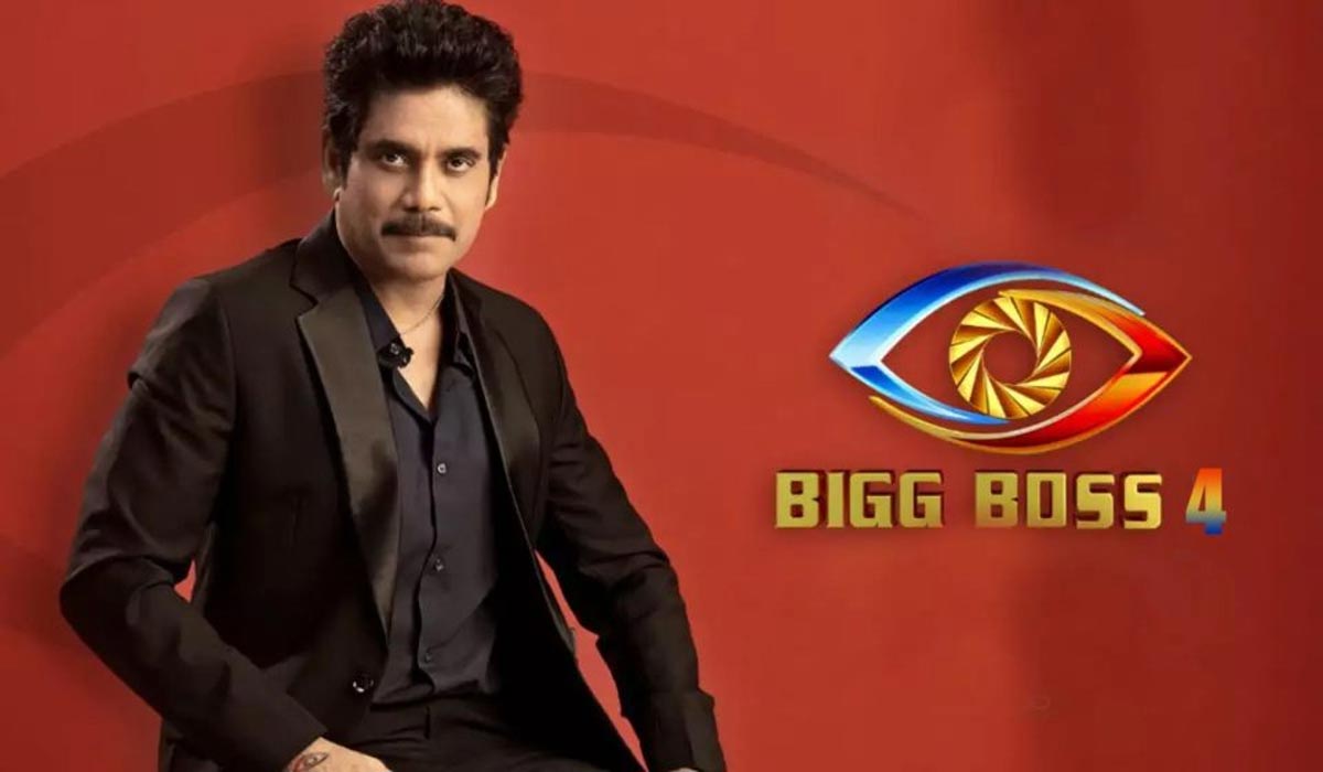 nagarjuna,bigg boss 4,opening episode,trp,maa tv  బిగ్ బాస్ సీజన్ 4: నాగ్ దుమ్ములేపాడుగా!!