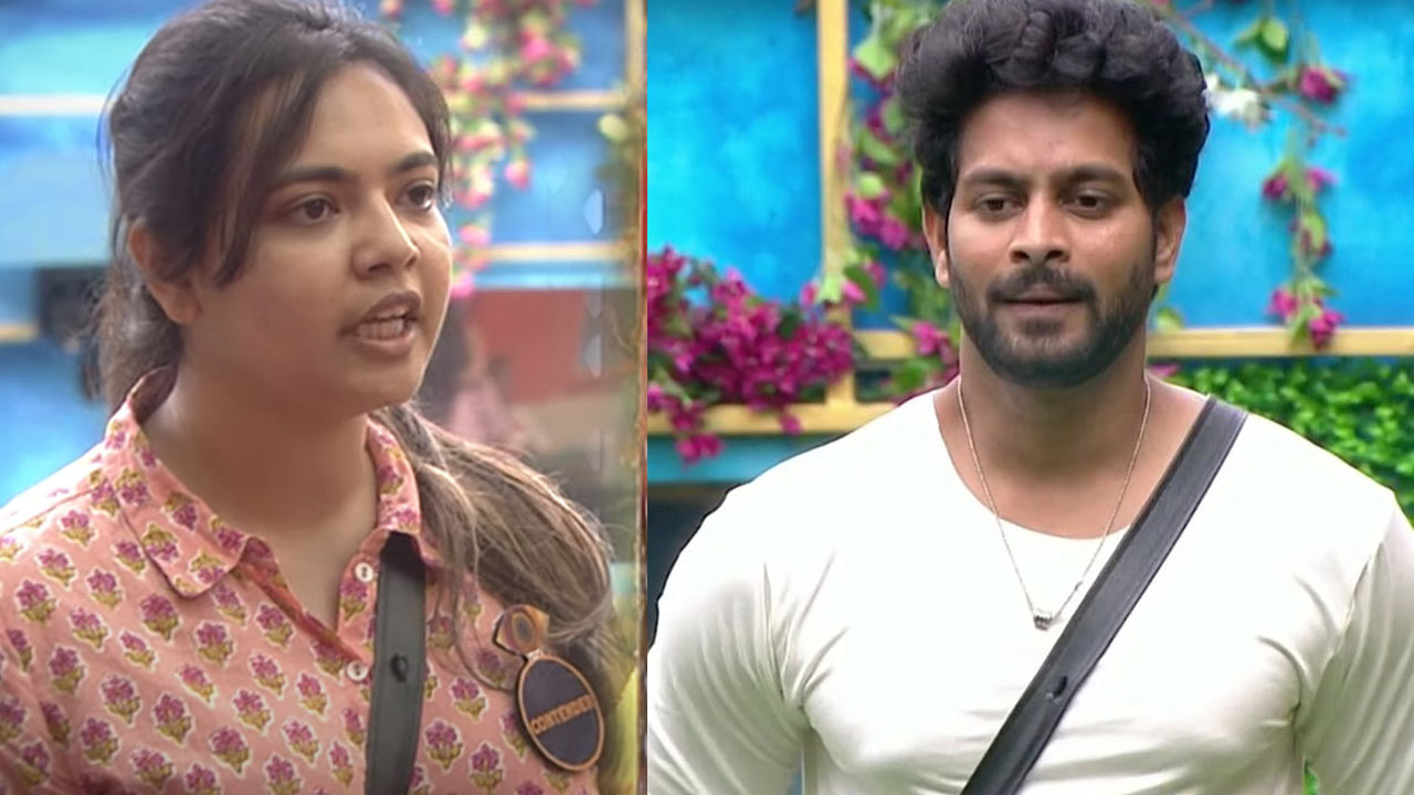 bigg boss 6,big boss telugu,big boss  బిగ్ బాస్ 6: ఈవారం డబుల్ ఎలిమినేషన్?