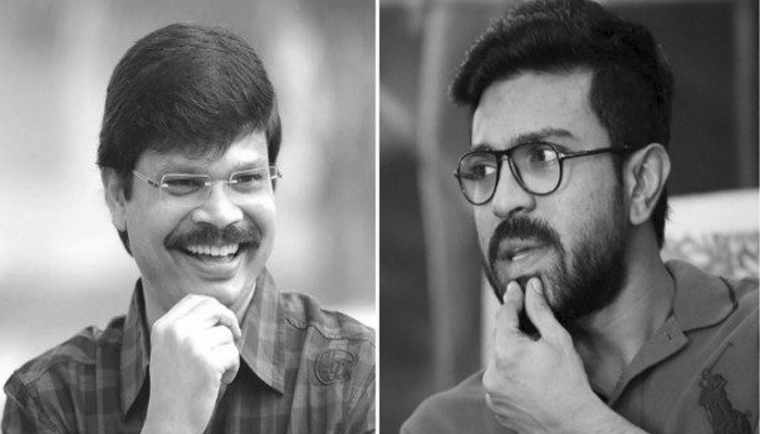 danayya,boyapati,ram charan,vinaya vidheya rama   800 మంది ఎందుకు బోయపాటి ?