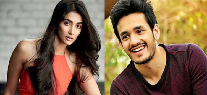 pooja hegde,akhil akkineni,next film,heroine  అఖిల్ నెక్ట్స్ హీరోయిన్ ఈ భామేనా?