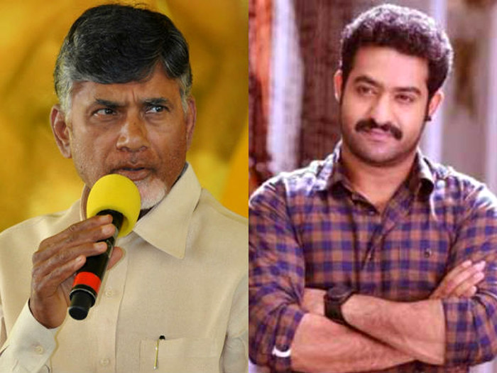 jr ntr,hari krishna,balakrishna,chandrababu naidu,tdp,pawan kalyan,janasena  ఎన్టీఆర్ కోసం పావులు కదుపుతున్న బాబు..! 