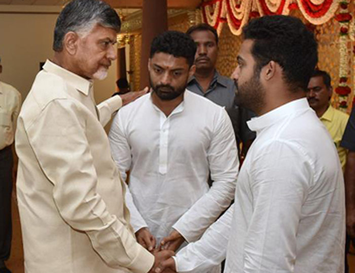 chandrababu naidu,jr ntr,kalyan ram,tdp,political sketch  ఎన్టీఆర్, కళ్యాణ్‌రామ్‌లపై బాబు స్కెచ్ ఇదేనా? 